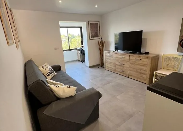 Avec Jardin Et Cuisine D'ete Apartment